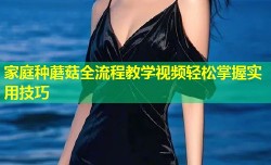 家庭种蘑菇全流程教学视频轻松掌握实用技巧