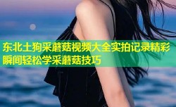 东北土狗采蘑菇视频大全实拍记录精彩瞬间轻松学采蘑菇技巧