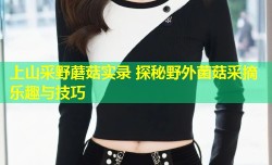 上山采野蘑菇实录 探秘野外菌菇采摘乐趣与技巧