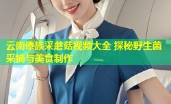 云南傣族采蘑菇视频大全 探秘野生菌采摘与美食制作