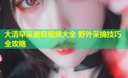 大清早采蘑菇视频大全 野外采摘技巧全攻略