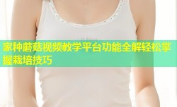 家种蘑菇视频教学平台功能全解轻松掌握栽培技巧