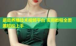 蘑菇养殖技术视频平台 实用教程全覆盖轻松上手