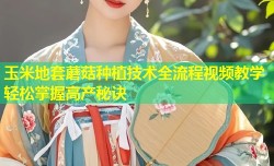 玉米地套蘑菇种植技术全流程视频教学轻松掌握高产秘诀