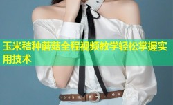 玉米秸种蘑菇全程视频教学轻松掌握实用技术