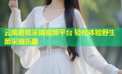 云南蘑菇采摘视频平台 轻松体验野生菌采摘乐趣
