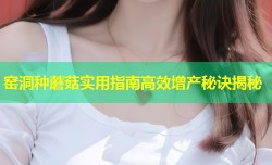 窑洞种蘑菇实用指南高效增产秘诀揭秘