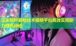玉米秸秆蘑菇技术视频平台高效实用助力绿色种植