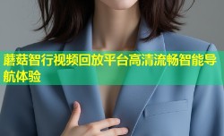 蘑菇智行视频回放平台高清流畅智能导航体验