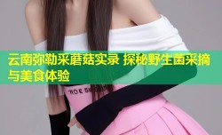云南弥勒采蘑菇实录 探秘野生菌采摘与美食体验