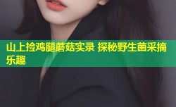 山上捡鸡腿蘑菇实录 探秘野生菌采摘乐趣