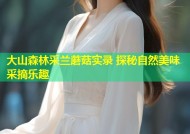 大山森林采兰蘑菇实录 探秘自然美味采摘乐趣
