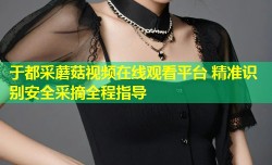 于都采蘑菇视频在线观看平台 精准识别安全采摘全程指导