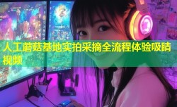 人工蘑菇基地实拍采摘全流程体验吸睛视频