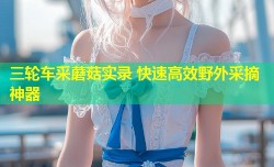 三轮车采蘑菇实录 快速高效野外采摘神器