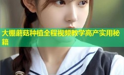 大棚蘑菇种植全程视频教学高产实用秘籍