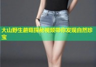 大山野生蘑菇探秘视频带你发现自然珍宝