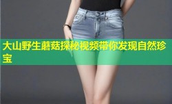 大山野生蘑菇探秘视频带你发现自然珍宝