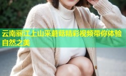 云南丽江上山采蘑菇精彩视频带你体验自然之美