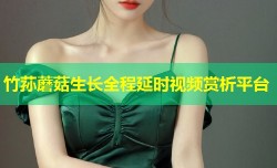 竹荪蘑菇生长全程延时视频赏析平台