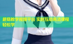 蘑菇教学视频平台 实时互动高清课程轻松学