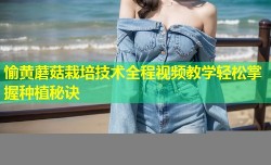 愉黄蘑菇栽培技术全程视频教学轻松掌握种植秘诀