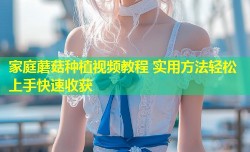 家庭蘑菇种植视频教程 实用方法轻松上手快速收获