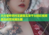 大兴安岭农村采蘑菇实录平台精彩视频直击自然采摘乐趣