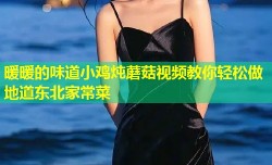暖暖的味道小鸡炖蘑菇视频教你轻松做地道东北家常菜