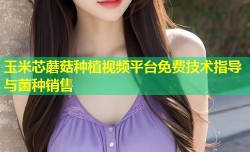 玉米芯蘑菇种植视频平台免费技术指导与菌种销售
