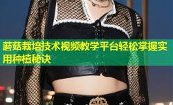 蘑菇栽培技术视频教学平台轻松掌握实用种植秘诀