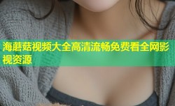 海蘑菇视频大全高清流畅免费看全网影视资源