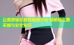 云南楚雄采蘑菇视频平台 探秘野生菌采摘与安全知识