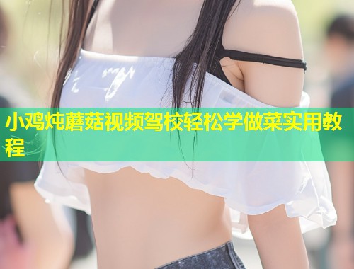 小鸡炖蘑菇视频驾校轻松学做菜实用教程  第2张