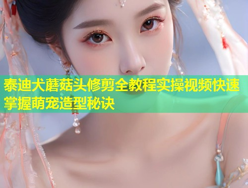 泰迪犬蘑菇头修剪全教程实操视频快速掌握萌宠造型秘诀  第1张