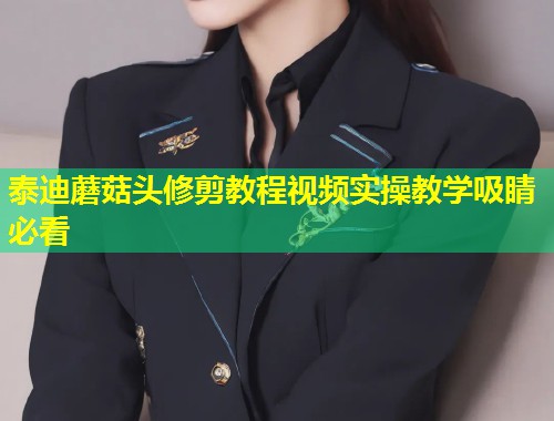 泰迪蘑菇头修剪教程视频实操教学吸睛必看  第1张