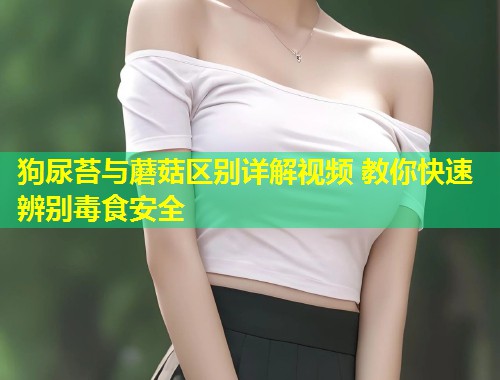 狗尿苔与蘑菇区别详解视频 教你快速辨别毒食安全  第1张