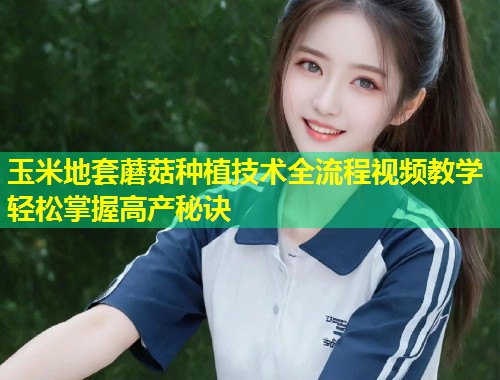 玉米地套蘑菇种植技术全流程视频教学轻松掌握高产秘诀  第2张