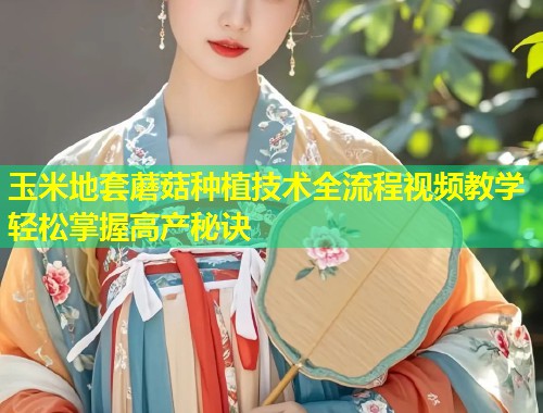 玉米地套蘑菇种植技术全流程视频教学轻松掌握高产秘诀  第1张
