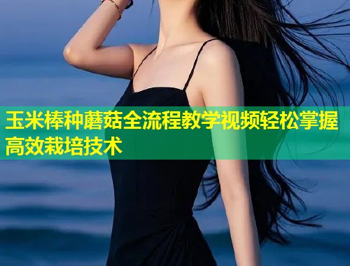 玉米棒种蘑菇全流程教学视频轻松掌握高效栽培技术  第2张