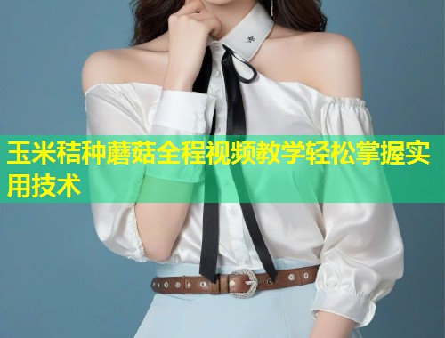 玉米秸种蘑菇全程视频教学轻松掌握实用技术  第1张