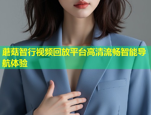 蘑菇智行视频回放平台高清流畅智能导航体验  第1张