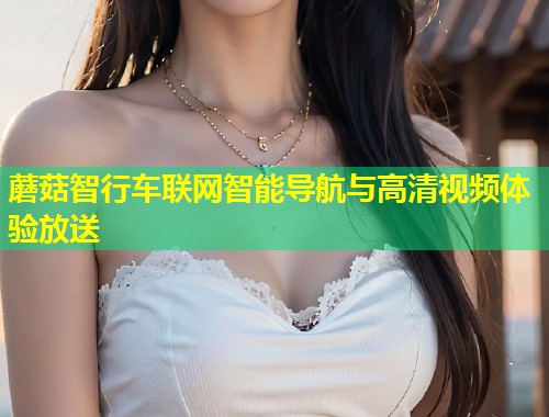 蘑菇智行车联网智能导航与高清视频体验放送  第1张