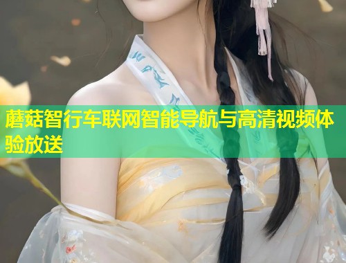 蘑菇智行车联网智能导航与高清视频体验放送  第2张