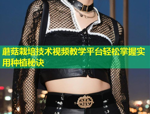 蘑菇栽培技术视频教学平台轻松掌握实用种植秘诀  第1张