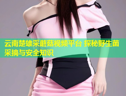 云南楚雄采蘑菇视频平台 探秘野生菌采摘与安全知识  第1张