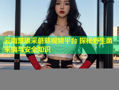 云南楚雄采蘑菇视频平台 探秘野生菌采摘与安全知识  第2张