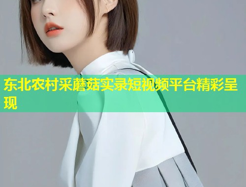 东北农村采蘑菇实录短视频平台精彩呈现  第1张