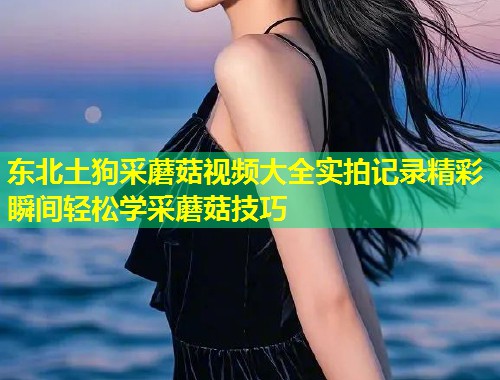 东北土狗采蘑菇视频大全实拍记录精彩瞬间轻松学采蘑菇技巧  第1张