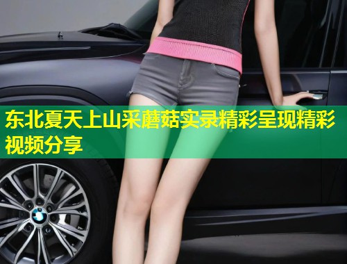 东北夏天上山采蘑菇实录精彩呈现精彩视频分享  第2张